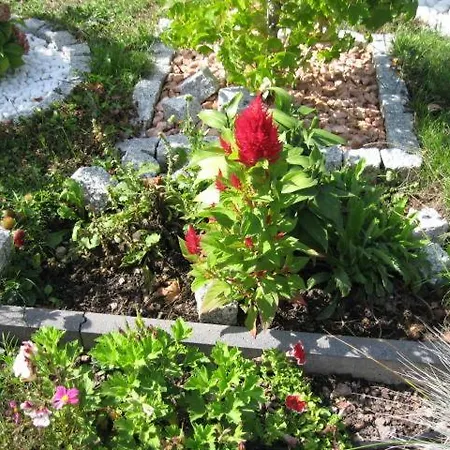 Diamanthaus Deluxe 7 Apartamento Coblenza